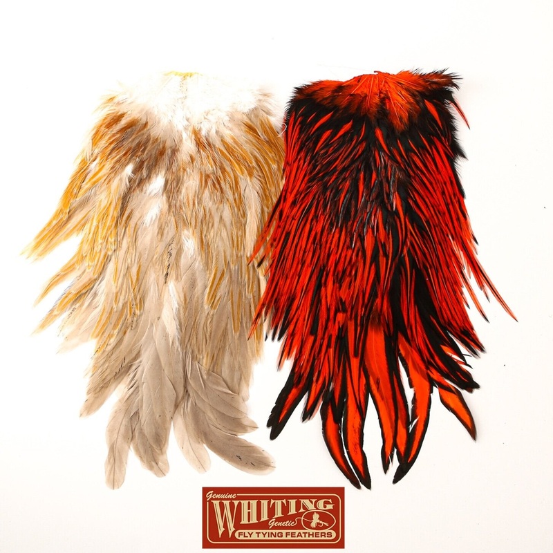 Whiting Farms American Rooster Saddle Grizzly