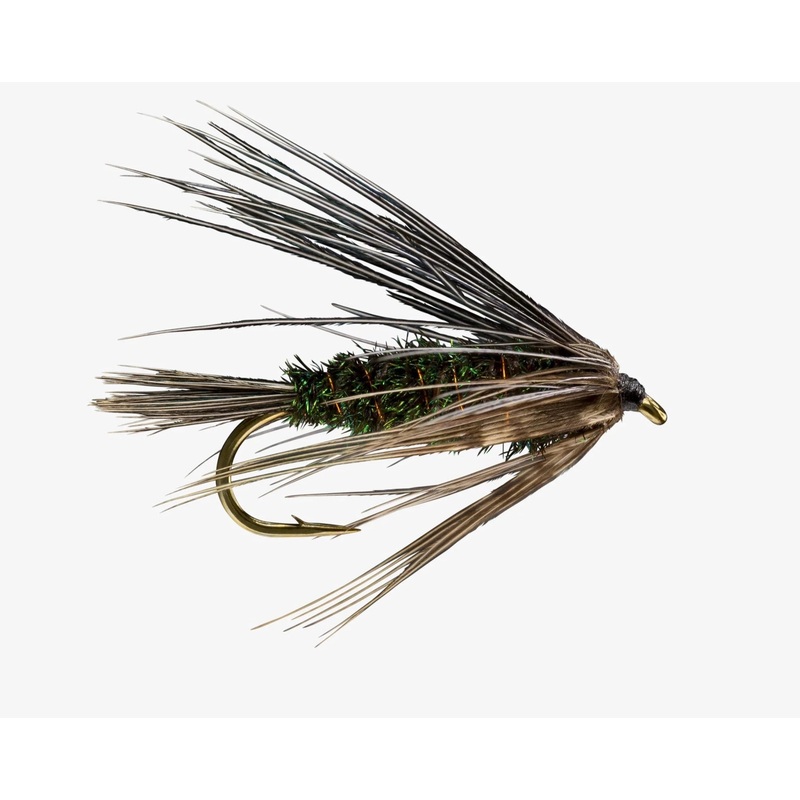 Carey Special Peacock #6