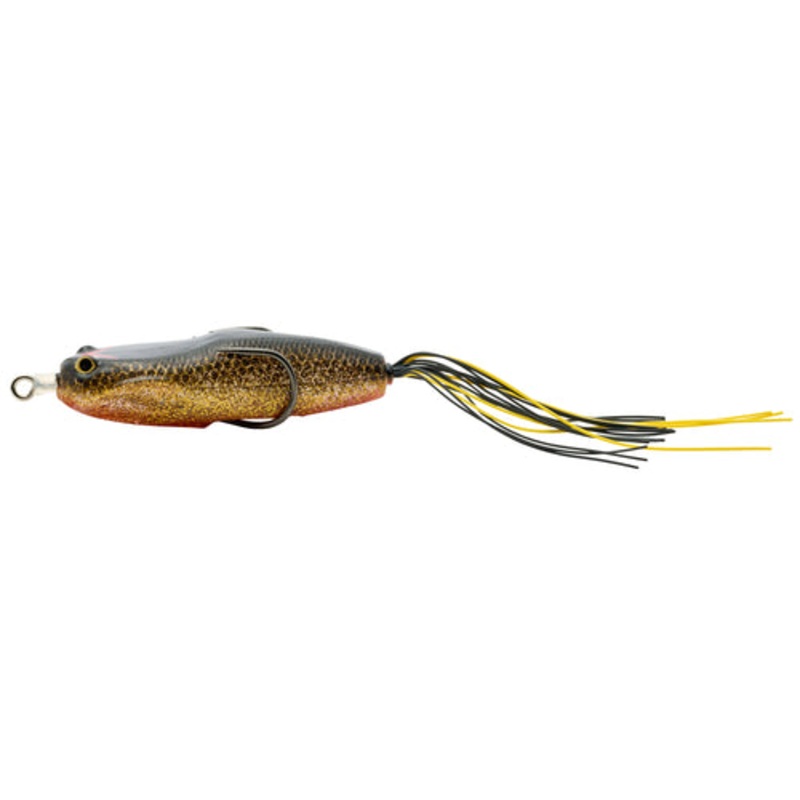 NORIES HOSHOKUON Gold Shad