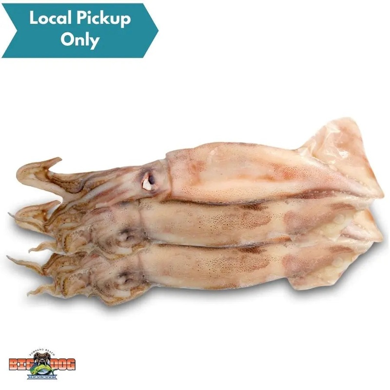 BIONIC BAIT FROZEN SWORD BAIT UNRIGGED SQUID 3 PACK