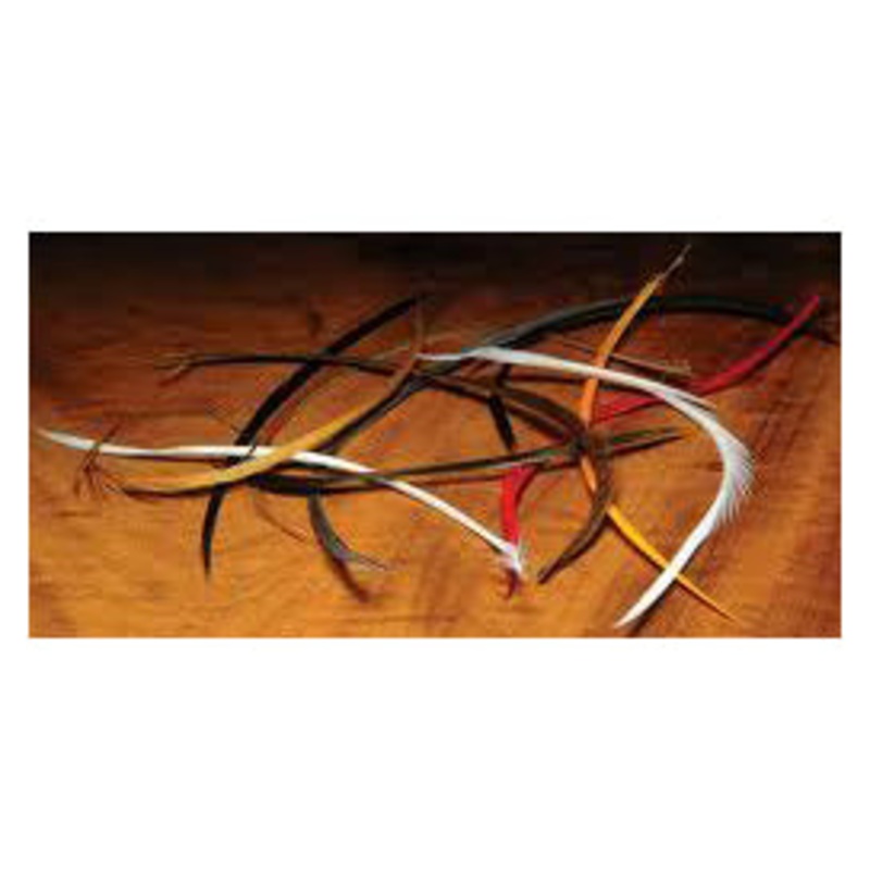 Stripped Goose Biots – Fly Fishing Olive