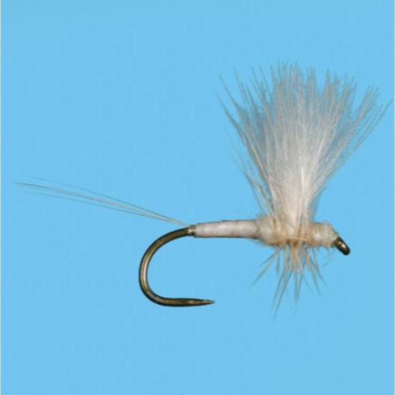 Solitude CDC Thorax Light Cahill 14