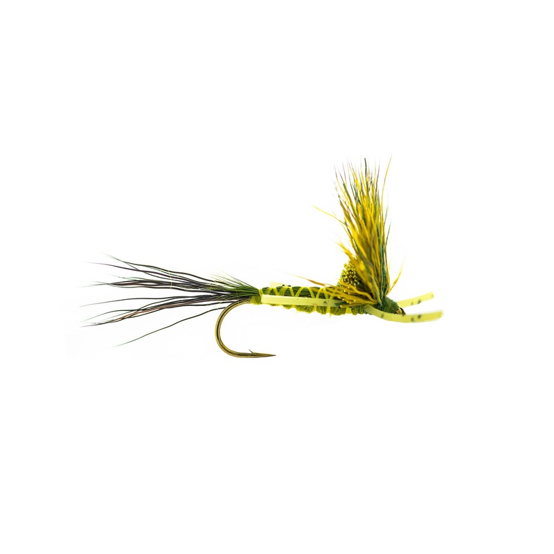 Umpqua Nealley’s Green Drake (3-Pack) 10 Green