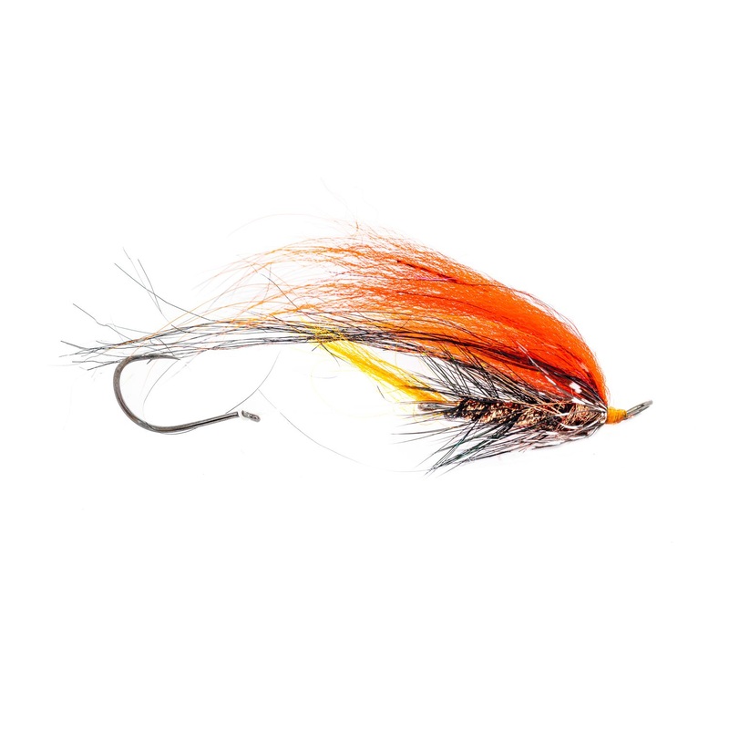 Solitude Foxee Dog – Orange/Black (3-Pack) 2