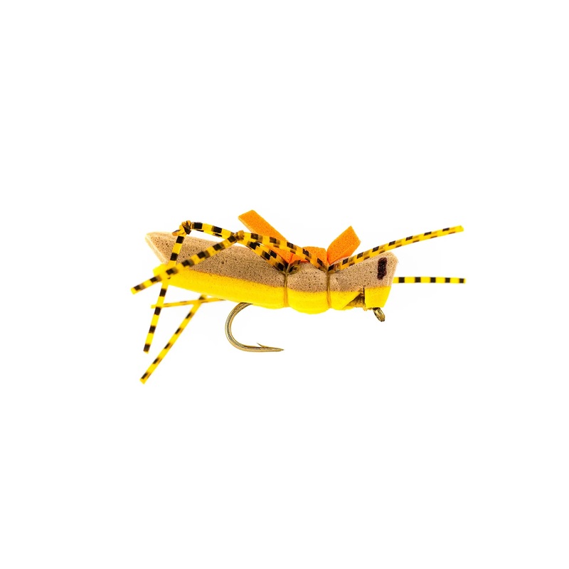 Rio’s Morrish Hopper – Golden (3-Pack) 10 Golden