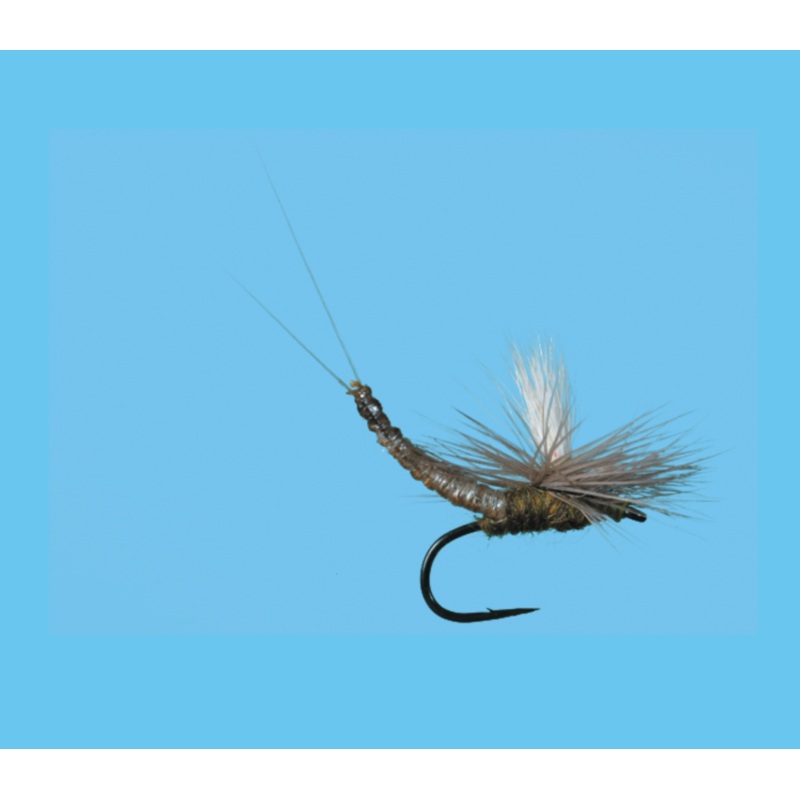 Solitude Parachute Extended Body BWO 16