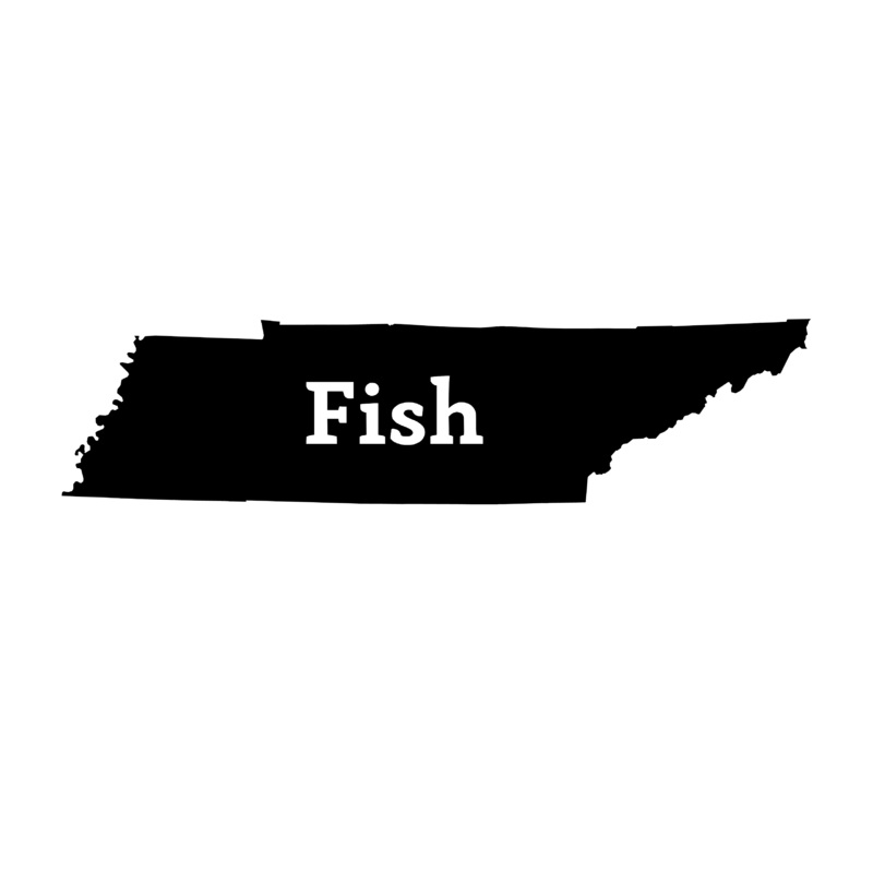 Fish Tennessee Decal