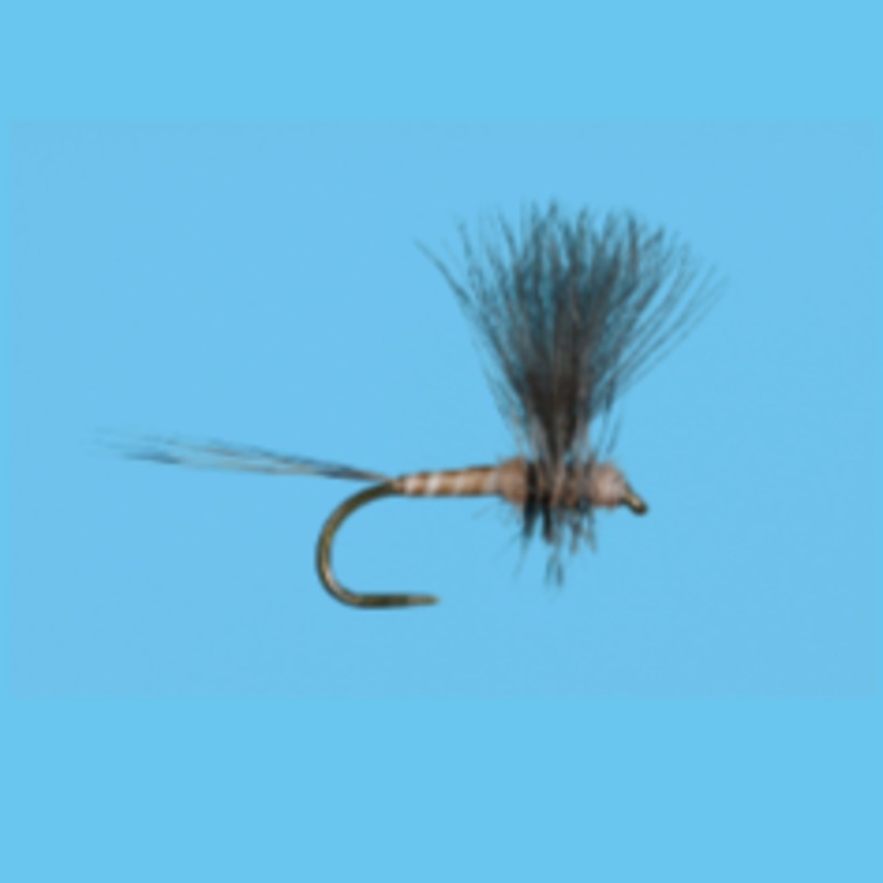 Solitude CDC Thorax Hendrickson 12