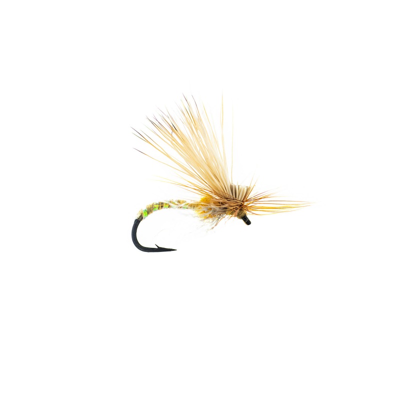 Umpqua Missing Link Caddis  (3-Pack) 14 Amber