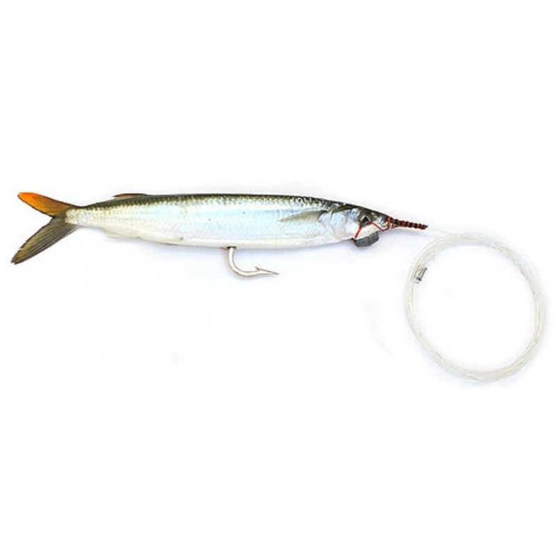 BAITMASTERS FROZEN SWIMMER BALLYHOO MONO RIGGED SINGLE HOOK 2 PACK