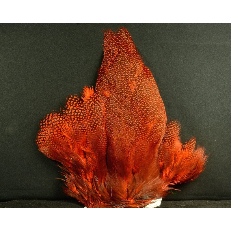 Whiting Farms Guinea Fowl – Cape Orange
